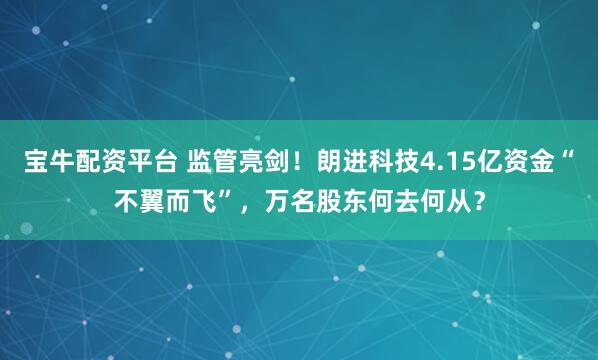 宝牛配资平台 监管亮剑！朗进科技4.15亿资金“不翼而飞”，万名股东何去何从？