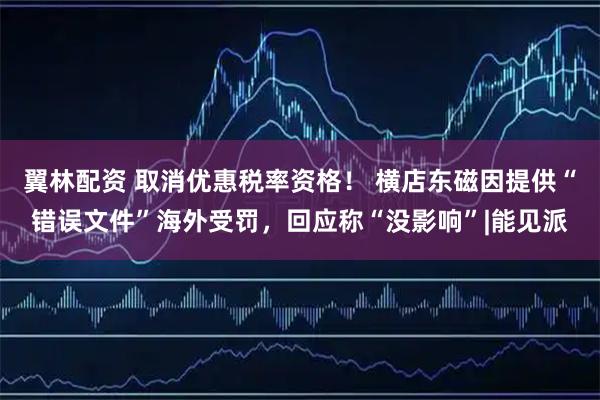 翼林配资 取消优惠税率资格！ 横店东磁因提供“错误文件”海外受罚，回应称“没影响”|能见派