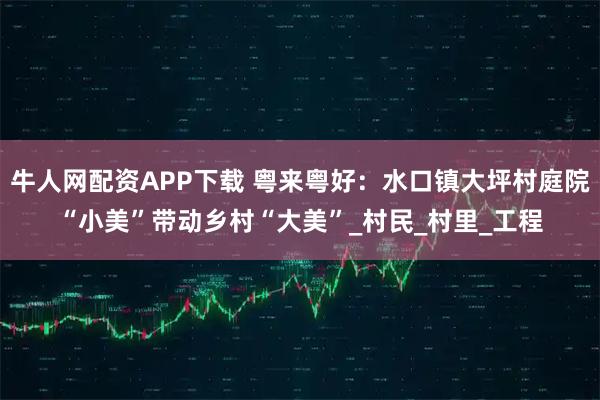 牛人网配资APP下载 粤来粤好：水口镇大坪村庭院“小美”带动乡村“大美”_村民_村里_工程
