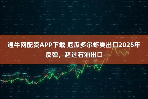 通牛网配资APP下载 厄瓜多尔虾类出口2025年反弹，超过石油出口