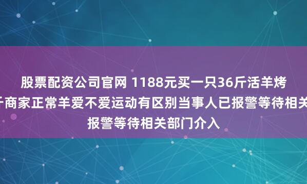 股票配资公司官网 1188元买一只36斤活羊烤完剩6.9斤商家正常羊爱不爱运动有区别当事人已报警等待相关部门介入