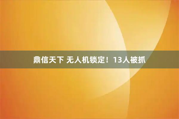 鼎信天下 无人机锁定！13人被抓